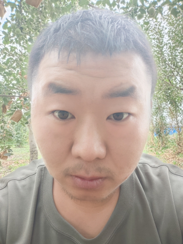 明天的第一张照片--古田交友网