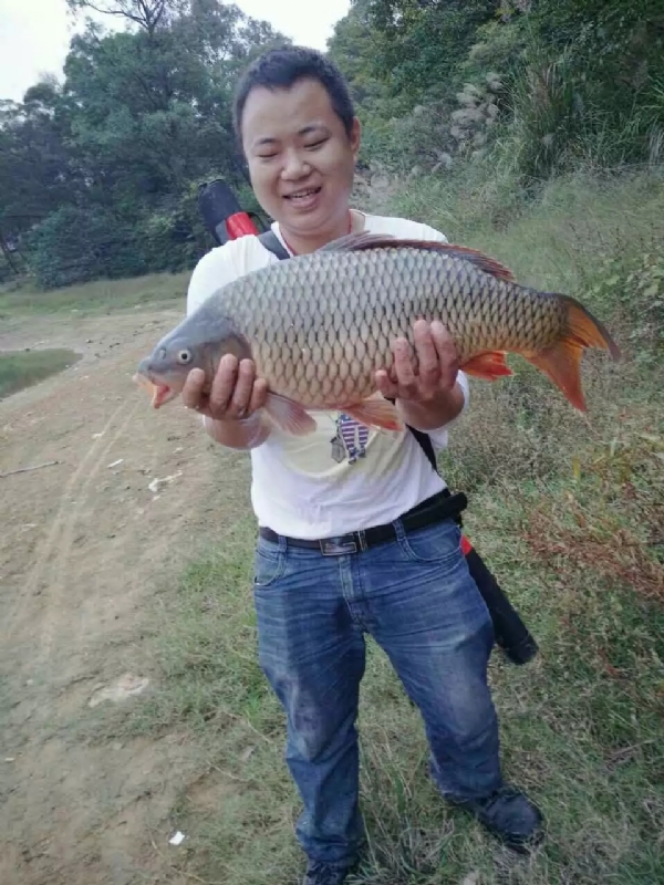 迷路的男人的第一张照片--古田交友网
