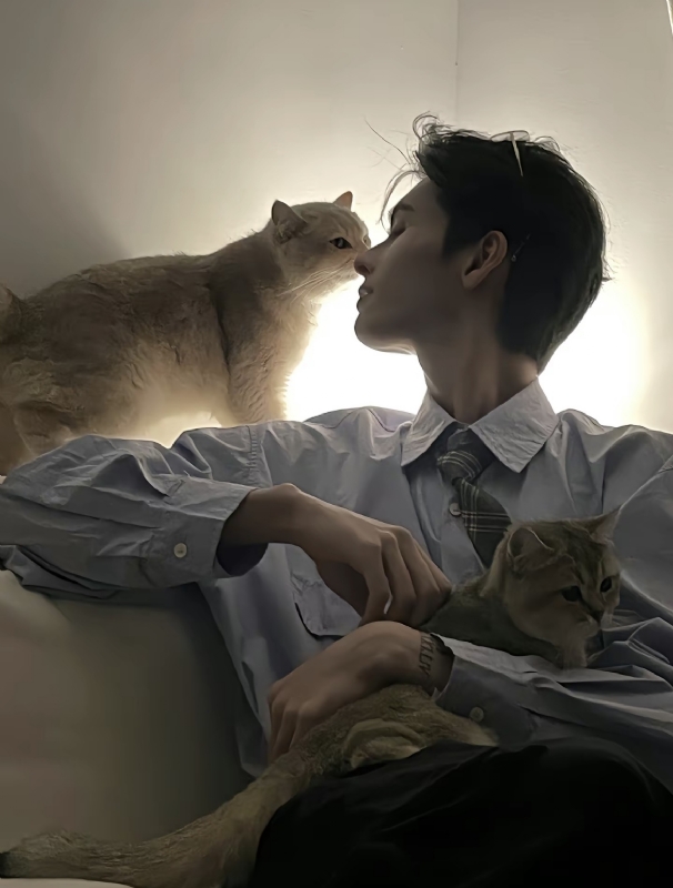 怪猫的第一张照片--古田交友网